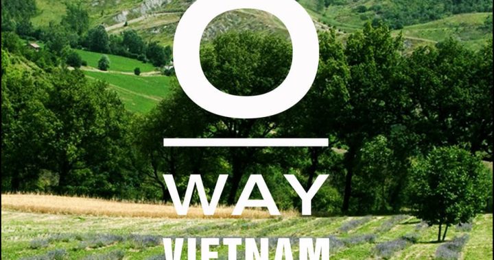 Gel tạo kiểu tóc Oway của nước nào Oway thương hiệu Ý